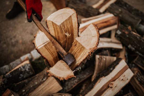Forêt française gérée durablement