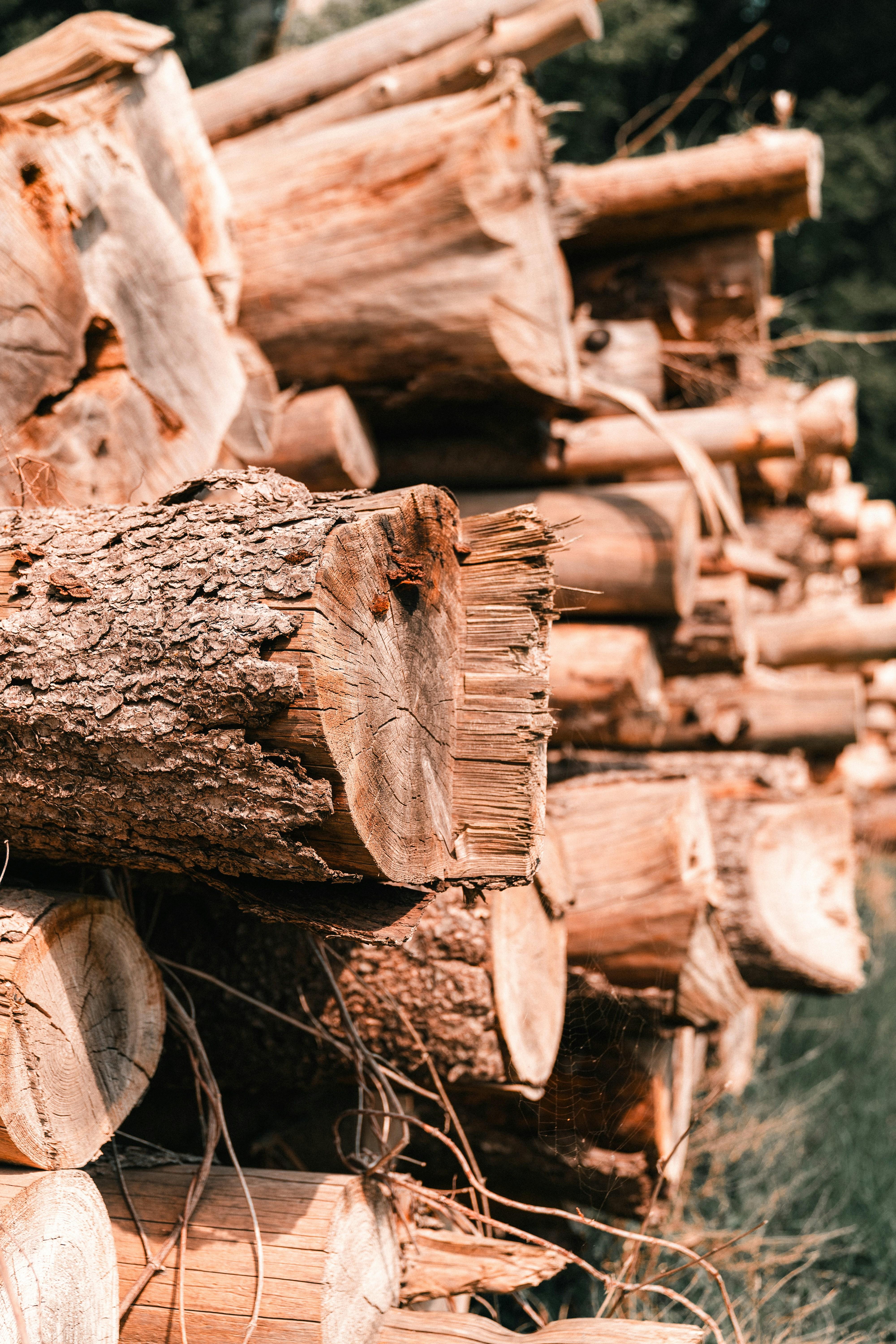 Pourquoi acheter son bois de chauffage au printemps ? 5 bonnes raisons d'anticiper